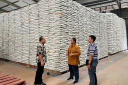 Stok beras di NTB aman, 167,64 juta kilogram tersimpan di gudang Bulog