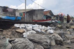 Kawasan sempadan bebas abrasi di Mataram mulai ditata