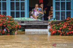 Govt prepares livestockrecovery after Sumatra disasters