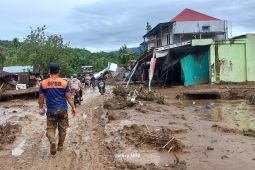 Kerugian bencana alam di Agam capai sekitar Rp13,9 miliar
