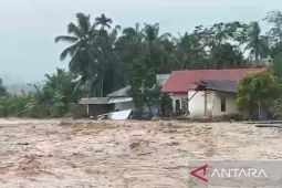 Kerugian akibat banjir di Padang Pariaman Sumbar diperkirakan capai Rp268,5 miliar