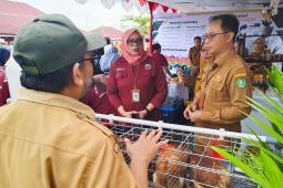 Disbunnak Kalbar kenalkan program pro gizi, beternak ayam petelur dari rumah