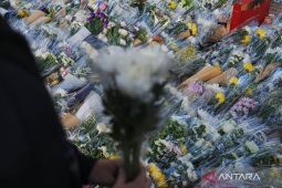 125 WNI selamat dalam kebakaran apartemen Wang Fuk Court di Hong Kong, 5 masih dicari