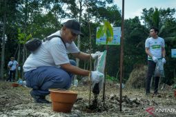 Warga dan PLN tanam 1.500 pohon di Wisata Meranti
