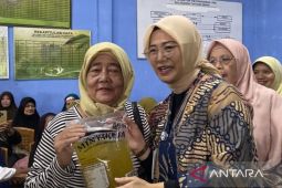 Pangkalpinang jadikan Tua Tunu daerah sentra nanas