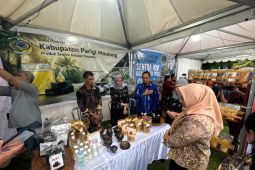 Kanwil Kemenkum Sulteng berikan edukasi pelaku IKM tentang KI