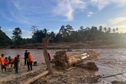 Jembatan darurat Aek Anggoli terputus karena luapan air sungai