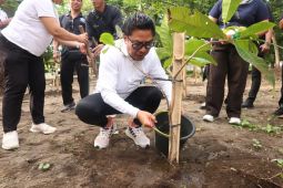 Pemkot Denpasar tanam pohon pulihkan ekosistem DAS dan paru-paru kota