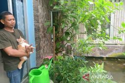 Kampung Iklim Sepinggan, wujud harmonisasi manusia dan alam