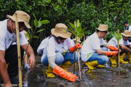 PLN tanam 5.000 pohon untuk hijaukan pesisir Lombok Timur