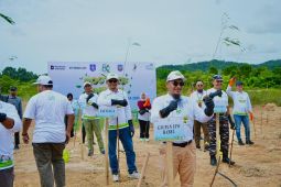 PLN Babel rehabilitasi lahan kritis tanam 12.500 pohon di HMPI 2025