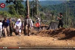 Wamenhut tegaskan komitmen pemerintah selamatkan gajah Sumatera - VIDEO