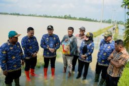 13 ribu hektar lahan pertanian terendam banjir, Wabup Sergai serahkan bantuan
