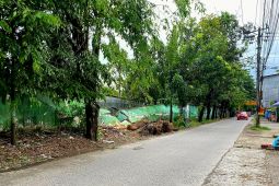 Pohon tumbang di Jalan Alauddin Makassar, warga desak DLH periksa pohon