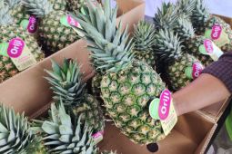 Neraca perdagangan Lampung surplus 480,50 juta dolar AS di Oktober