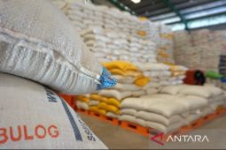 Bulog Kaltim- Kaltara pastikan stok pangan aman hingga 2026