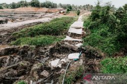 Gubernur Kaltim resmi umumkan tutup area tambang ilegal demi jaga hutan