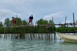 Diskan Batam catat hasil ekspor ikan hingga September naik 24,5%