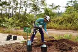 PT Vale tanam pohon serentak di Morowali dan Sorowako peringati HMPI