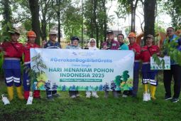 PJT I bagikan 550 bibit pohon ke masyarakat peringati HMPI 2025