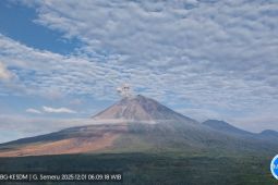 Semeru kembali erupsi dengan letusan setinggi 900 meter