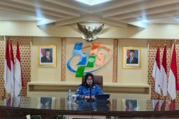 BPS: nikel hingga besi-baja jadi penyumbang utama surplus