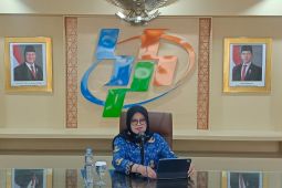 BPS: Kunjungan wisatawan dan transportasi tumbuh di Oktober 2025