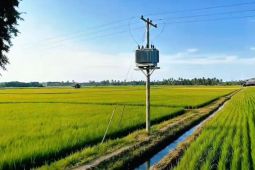 Smart farming jadi solusi petani sejahtera di Desa Trimomukti Lampung Selatan