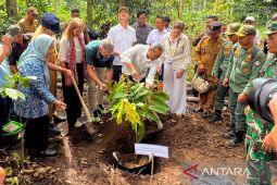 Zulhas perkuat perhutanan sosial Lampung melalui penanaman bibit kakao
