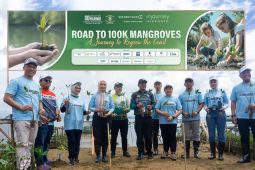 Golden Tulip-Brigif 4 Marinir lakukan penanaman mangrove di Pesawaran