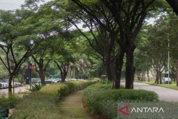 LPCK wujudkan komitmen lingkungan melalui pembangunan berkelanjutan