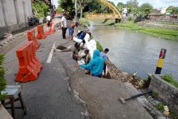 BWS dan PUPR pasang tanggul darurat tangani longsor Sungai Jangkuk