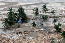 Ekonom menilai bantuan tunai penting dalam tanggap darurat bencana