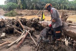 Satuan K-9 Polri bantu pencarian korban di Sumut