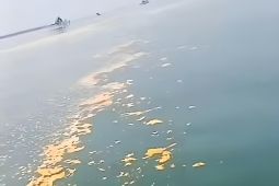 Waduh, pantai utara Tangerang diduga tercemar limbah minyak
