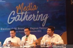 OJK Papua sebut aset perbankan naik 5,25 persen mencapai Rp106 triliun