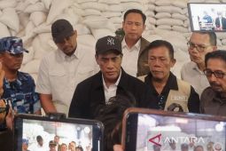 Mentan Amran siapkan stok beras tiga kali lipat di tiga provinsi