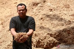 Wood waste to energy: seizing opportunities from biomass co-firing