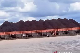 Ekspor nonmigas Kaltim 1,67 miliar dolar dipicu kenaikan ekspor lemak