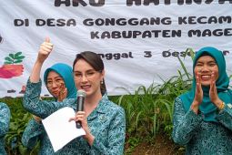 PKK Magetan wujudkan ketahanan pangan lewat program Aku Hatinya PKK