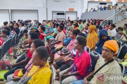 PBD wajibkan UMKM OAP miliki NIB agar akses bantuan pemerintah