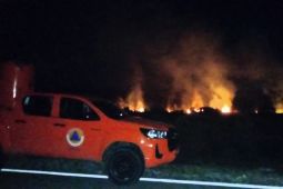 Pemkab Natuna padamkan kebakaran hutan seluas 4 hektare di Pengadah