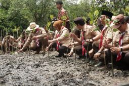 Aksi tanam mangrove Gubernur Jatim di Trenggalek