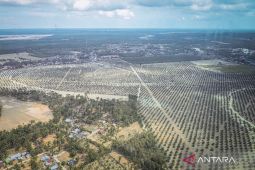Banjir Sumatera dampak akumulasi masalah tata kelola lingkungan