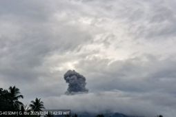Gunung Ibu semburkan abu vulkanik setinggi hingga 600 meter
