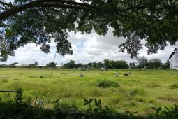 Fasilitas olahraga di Lombok Tengah ditata