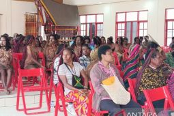 Pemprov Papua Pegunungan dorong pelestarian noken jadi identitas budaya