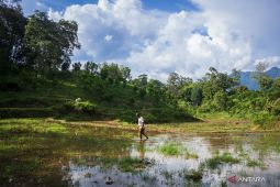 Upaya pangkas jarak distribusi pupuk ke petani