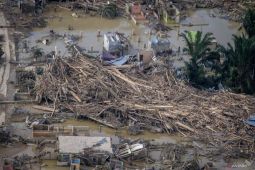Menhut pastikan masih dalami sumber dan status kayu terseret banjir