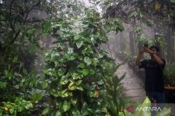 Kehutanan penopang ketahanan pangan di tengah perubahan lingkungan global